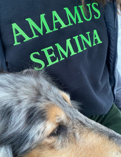 sweatshirt AMAMUS SEMINA