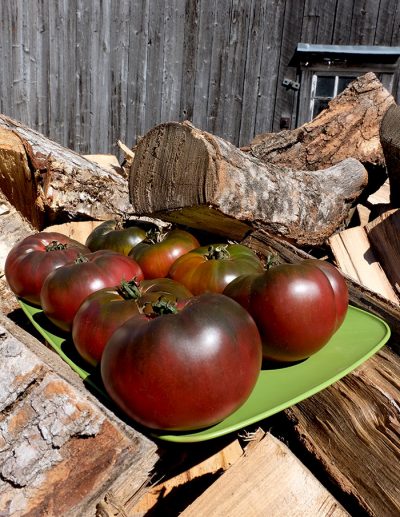 Tomato 'Black Early'