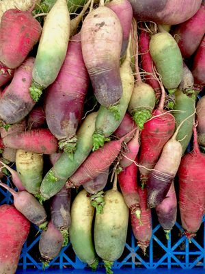 root vegetables