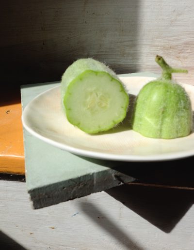 Cucumber-melon Carosello Barres cut, perfect size for eating.