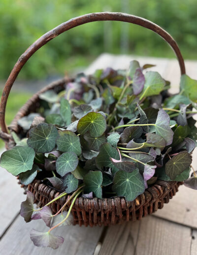 Terminé pour 2024 - atelier gourmand DU JARDIN À LA TABLE JUILLET - Image 5