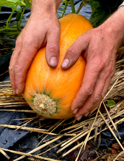 courge d'hiver Friedrich Nietzsche bio - Image 5