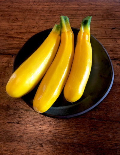 Rheinau Gold organic zucchini