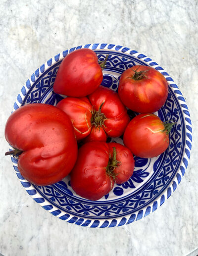 Coeur de Boeuf tomato