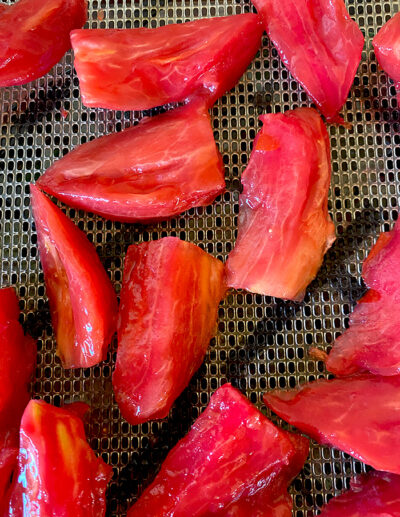 tomate Coeur de Boeuf - Image 4